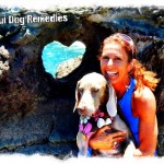 Maui Dog Training + Running + Retreats + Remedies