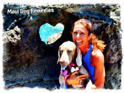 Maui Dog Training + Running + Retreats + Remedies