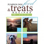 Pumpkin Dog Food + Treats Recipes