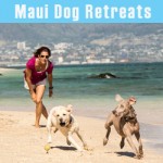 Maui Dog Training Retreats