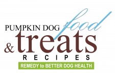 Pumpkin Dog Food & Treats Recipes