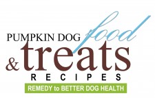 Pumpkin Dog Food & Treats Recipes