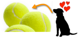 Dog Tennis Ball Toy