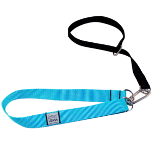 Training leashes for dogs